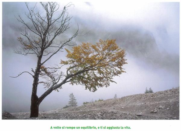 novembre - equilibrio al limite