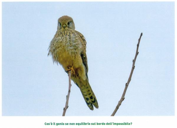 agosto - equilibrio perfetto