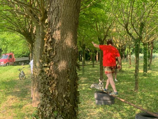 caccia al tesoro 24ore