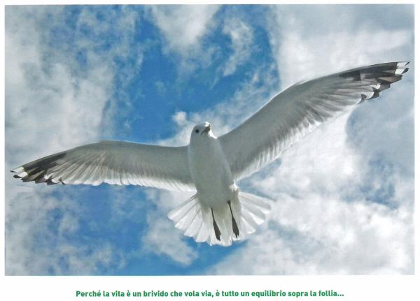 giugno - volo tra il cielo e le nuvole