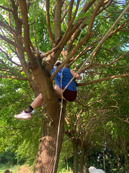 caccia al tesoro 24ore