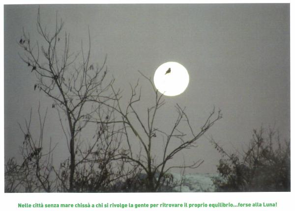 gennaio - nero su bianco